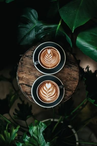 Interesting Facts About the Coffee Industry