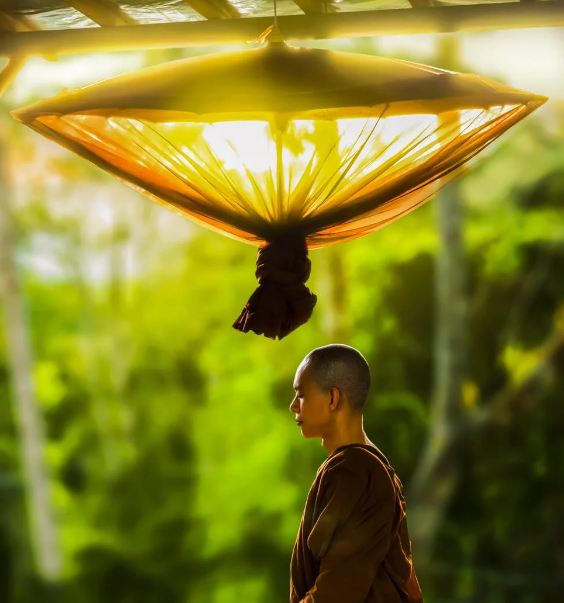 A picture of a monk meditating in the nature
