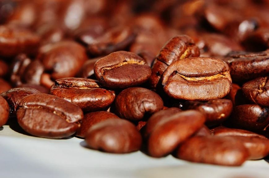 Roasted Coffee beans are one of the most famous and widely used ones all over the world.