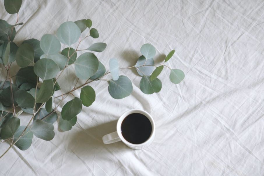 flat-lay-photography-of-white-mug-beside-green-leafed-plants