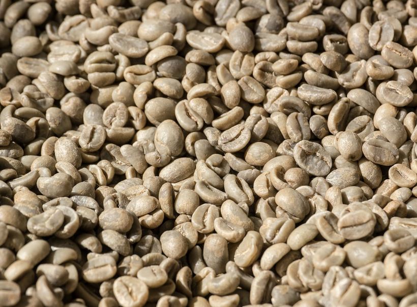 An image showing raw coffee beans.
