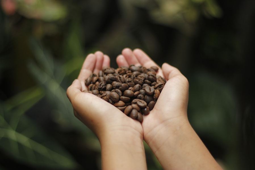 Image showing coffee beans in a hand.