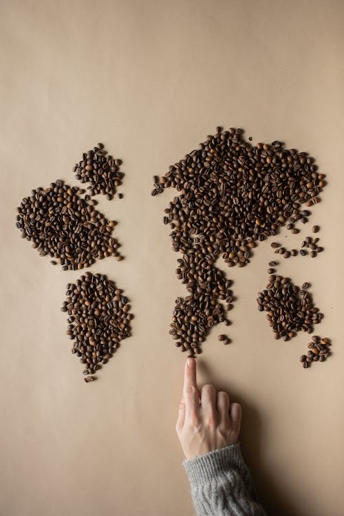 coffee beans formed as a world map