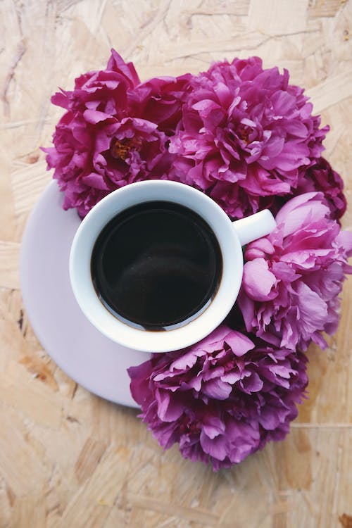 cup of coffee with flower on the side